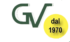 logo vavassori